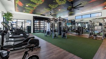 A gym with weights and cardio equipment and a mural on the ceiling